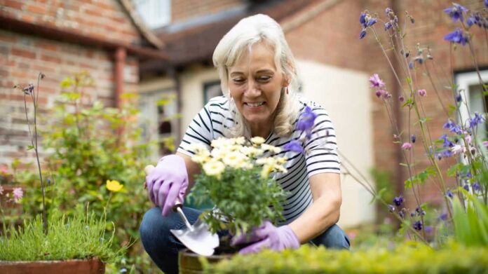 seo planning for gardening services
