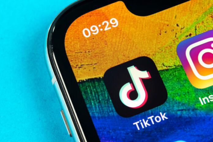 tiktok community guidelines 641a06569f77b sej 768x512.jpg