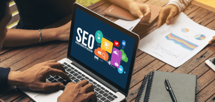 master the seo basics before following the latest 2024 trends.png