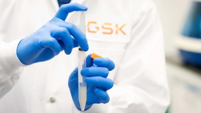 Are GSK shares a bargain after falling 11%?