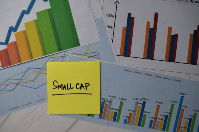 Some of the best UK dividend shares are those you’ve never heard of. I think I’ve found one!