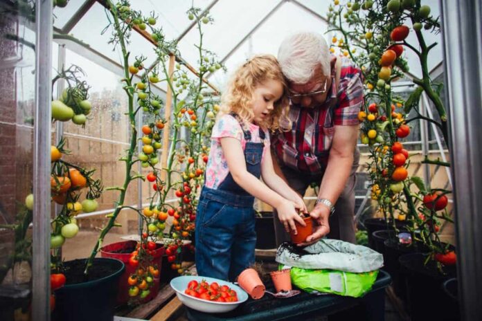 Want to start investing for a grandchild? Here’s how £100 a month could ultimately turn into £621,000!